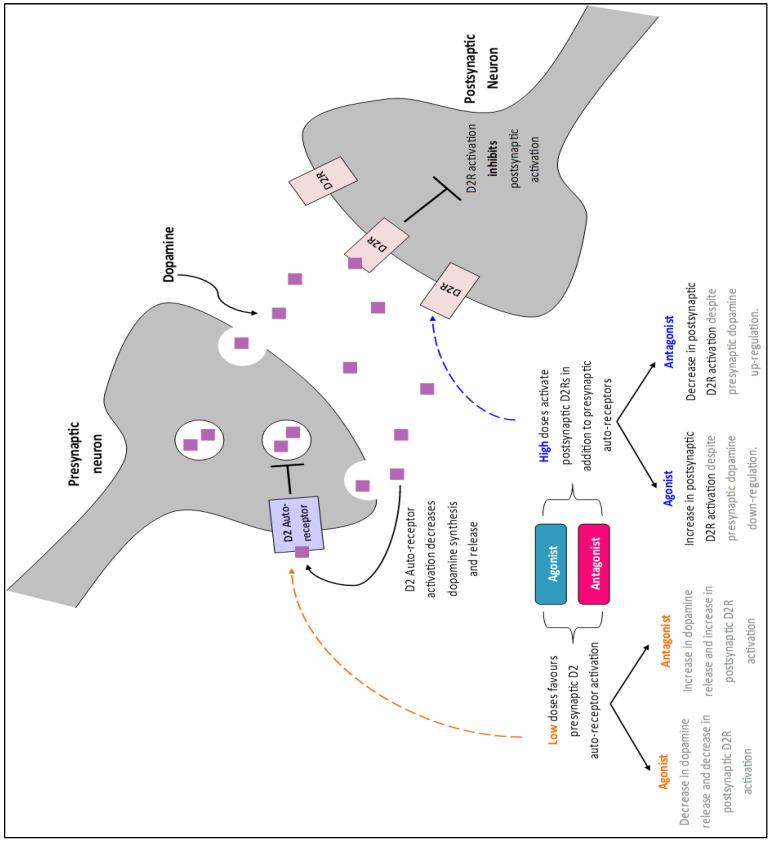 https://cdn.ncbi.nlm.nih.gov/pmc/blobs/c144/8946836/fe59da636984/brainsci-12-00351-g0A1.jpg
