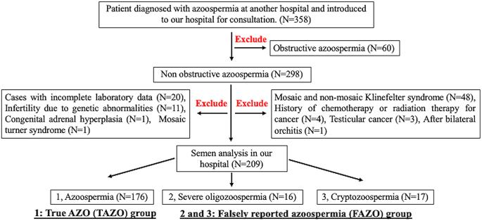 https://cdn.ncbi.nlm.nih.gov/pmc/blobs/c145/11896679/55c43cdde7fe/RAF-24-0090fig1.jpg