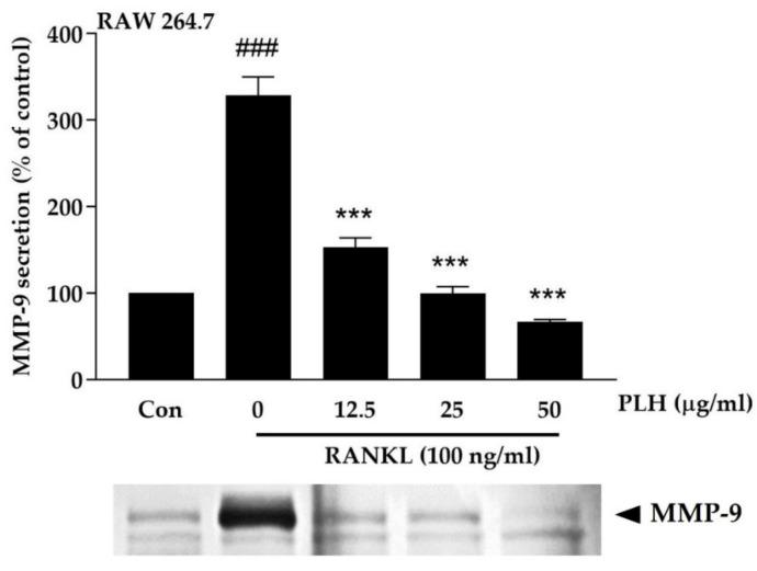 https://cdn.ncbi.nlm.nih.gov/pmc/blobs/c145/8840259/300a7d91a0f5/molecules-27-00824-g005.jpg