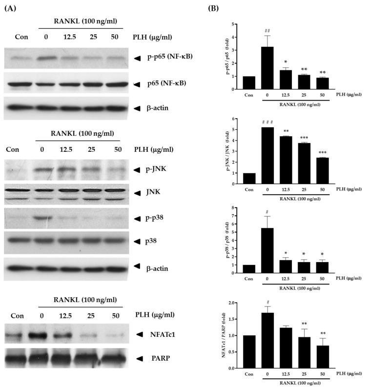 https://cdn.ncbi.nlm.nih.gov/pmc/blobs/c145/8840259/5510b06208e7/molecules-27-00824-g006.jpg