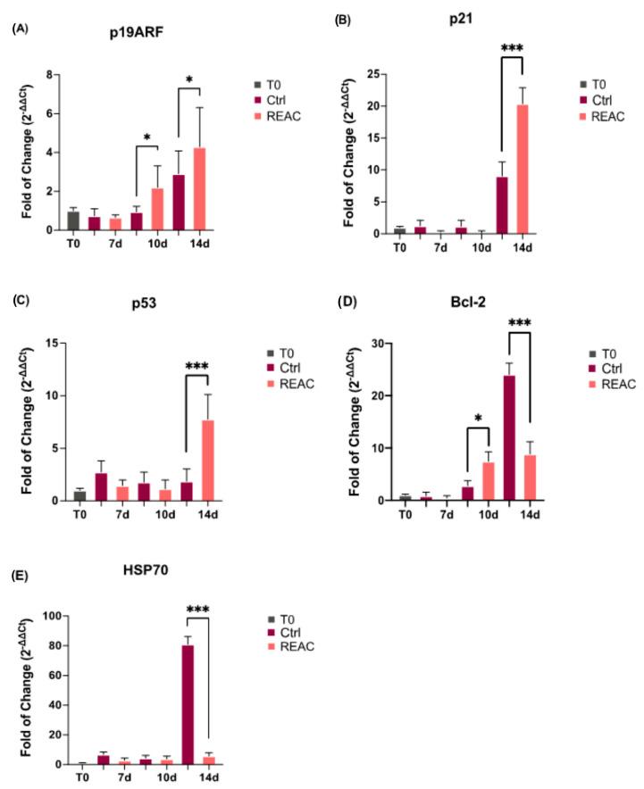 https://cdn.ncbi.nlm.nih.gov/pmc/blobs/c146/10302048/de637347945b/jpm-13-01019-g005.jpg