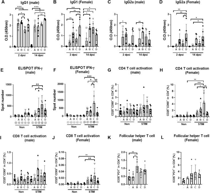 https://cdn.ncbi.nlm.nih.gov/pmc/blobs/c146/11775000/0066472ad5b6/204_2024_3912_Fig2_HTML.jpg