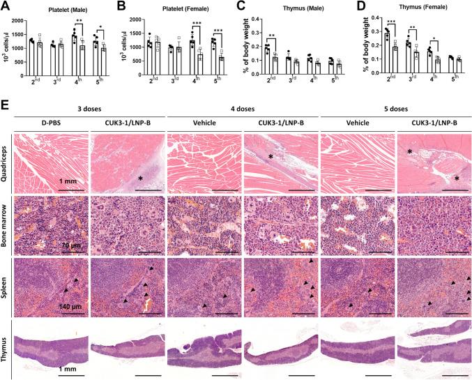 https://cdn.ncbi.nlm.nih.gov/pmc/blobs/c146/11775000/94b954970707/204_2024_3912_Fig5_HTML.jpg