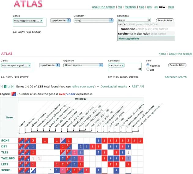 https://cdn.ncbi.nlm.nih.gov/pmc/blobs/c147/2808905/739b1a25263e/gkp936f4.jpg