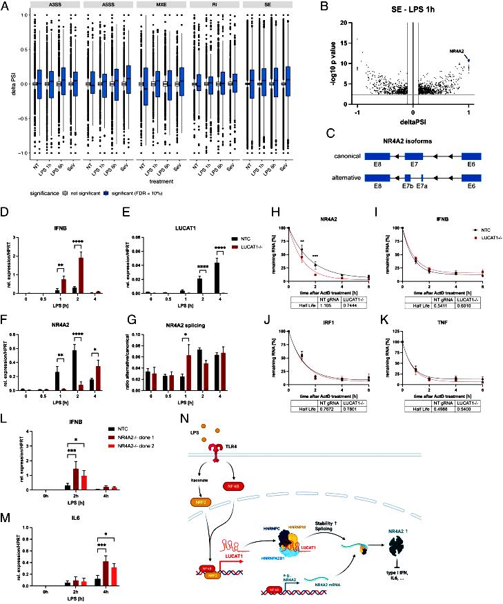 https://cdn.ncbi.nlm.nih.gov/pmc/blobs/c147/9910463/c8e7c9715144/pnas.2213715120fig04.jpg