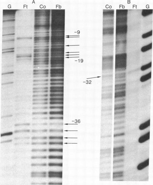 https://cdn.ncbi.nlm.nih.gov/pmc/blobs/c14c/348220/b2f7d01c7f70/pnas00664-0161-a.jpg