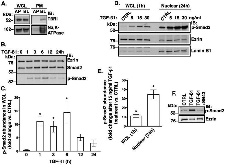 https://cdn.ncbi.nlm.nih.gov/pmc/blobs/c14c/3650079/8332fe6b518f/pone.0063167.g001.jpg
