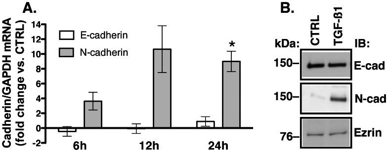 https://cdn.ncbi.nlm.nih.gov/pmc/blobs/c14c/3650079/c2ee734c74b4/pone.0063167.g005.jpg
