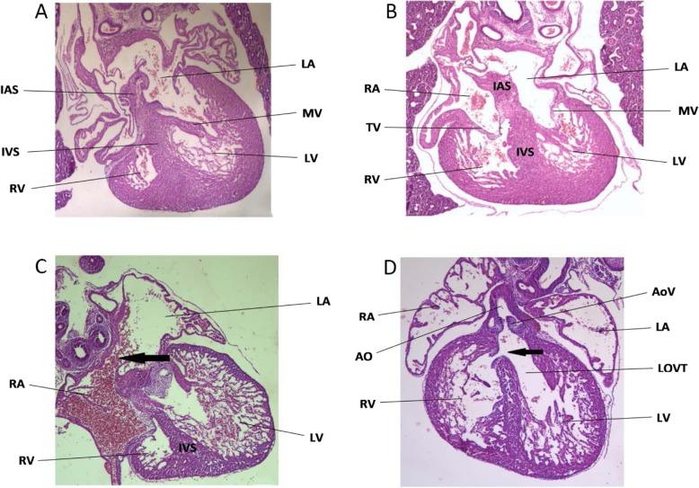 https://cdn.ncbi.nlm.nih.gov/pmc/blobs/c14d/7079454/22572a4cac5e/12872_2020_1418_Fig1_HTML.jpg