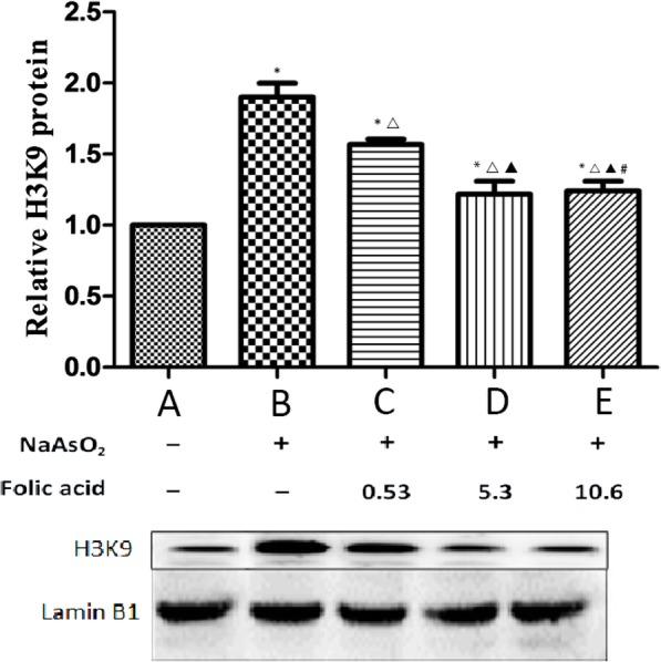 https://cdn.ncbi.nlm.nih.gov/pmc/blobs/c14d/7079454/a854a41d8825/12872_2020_1418_Fig3_HTML.jpg