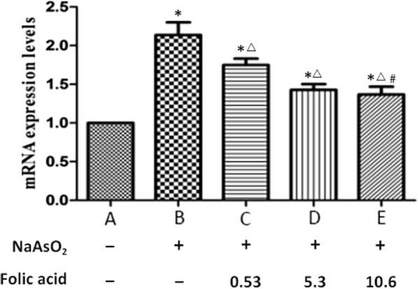 https://cdn.ncbi.nlm.nih.gov/pmc/blobs/c14d/7079454/c1afd7de73d9/12872_2020_1418_Fig2_HTML.jpg
