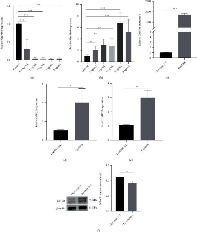 https://cdn.ncbi.nlm.nih.gov/pmc/blobs/c14d/9899594/79e8f35d58f1/MI2023-9991916.002.jpg