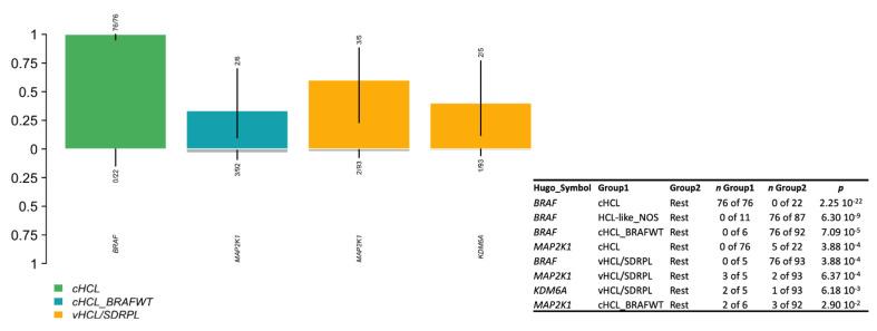https://cdn.ncbi.nlm.nih.gov/pmc/blobs/c14e/9028144/1355efc7f64e/cancers-14-01904-g004.jpg