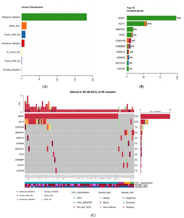 https://cdn.ncbi.nlm.nih.gov/pmc/blobs/c14e/9028144/f39631952701/cancers-14-01904-g001.jpg
