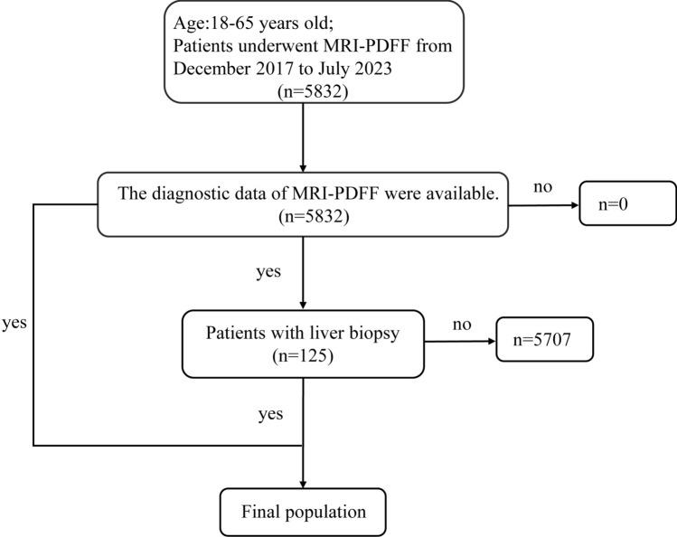 https://cdn.ncbi.nlm.nih.gov/pmc/blobs/c150/12176965/8ff7dfdf8bb8/10238_2025_1739_Fig1_HTML.jpg
