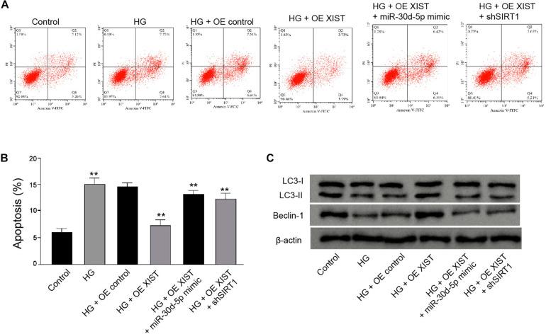 https://cdn.ncbi.nlm.nih.gov/pmc/blobs/c150/8113765/19ef788979f3/fmolb-08-655157-g008.jpg