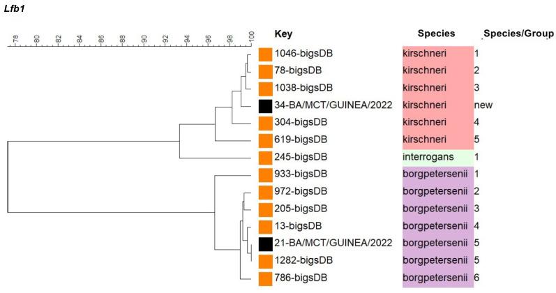 https://cdn.ncbi.nlm.nih.gov/pmc/blobs/c152/12029326/3083f799b1d8/microorganisms-13-00833-g002.jpg