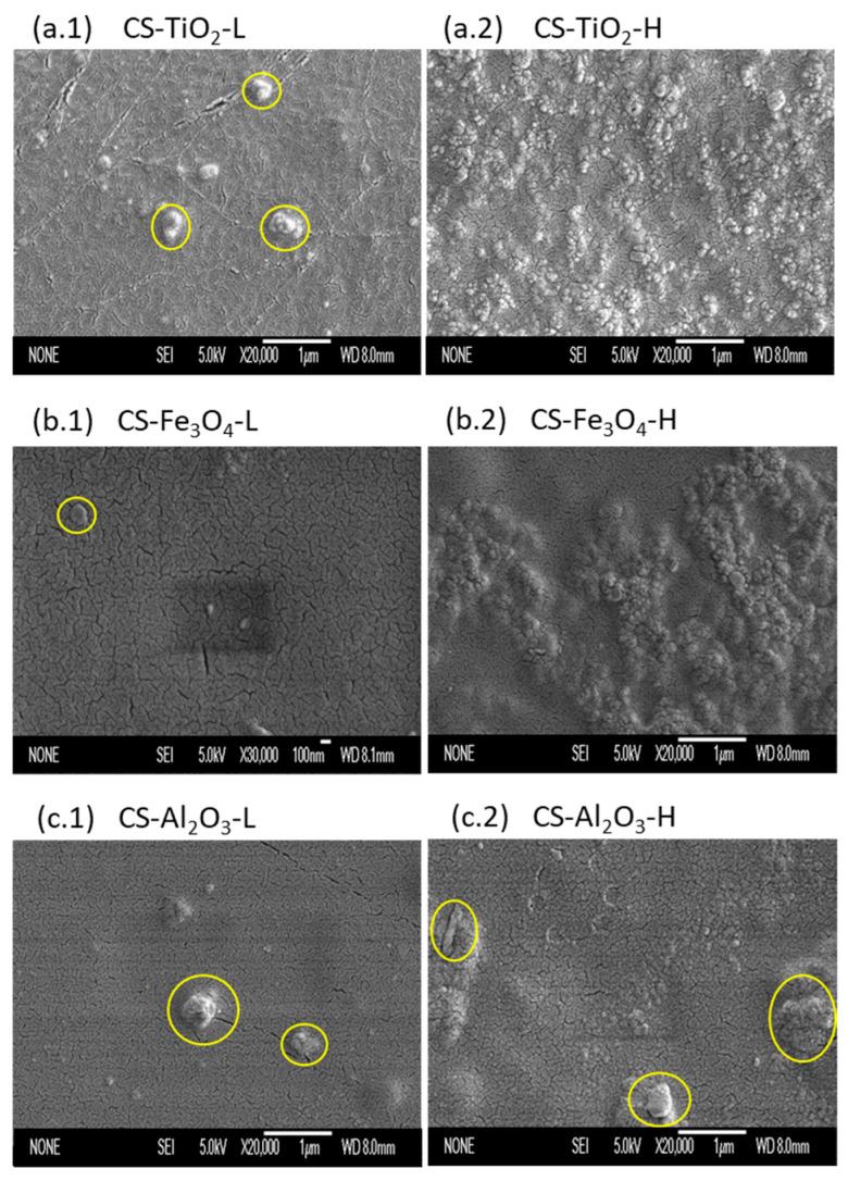 https://cdn.ncbi.nlm.nih.gov/pmc/blobs/c153/10347105/f6f07031092f/polymers-15-02804-g002.jpg