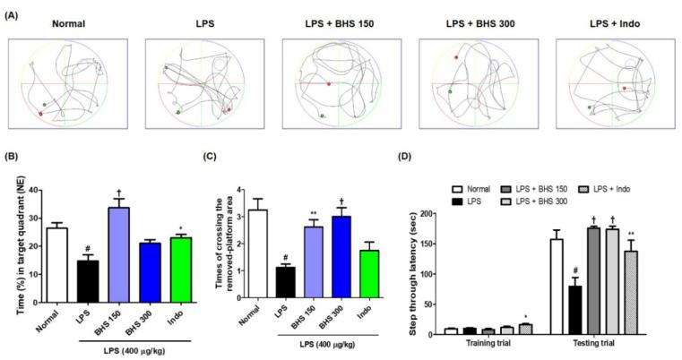 https://cdn.ncbi.nlm.nih.gov/pmc/blobs/c154/7400939/52934fe39ada/nutrients-12-02019-g003.jpg