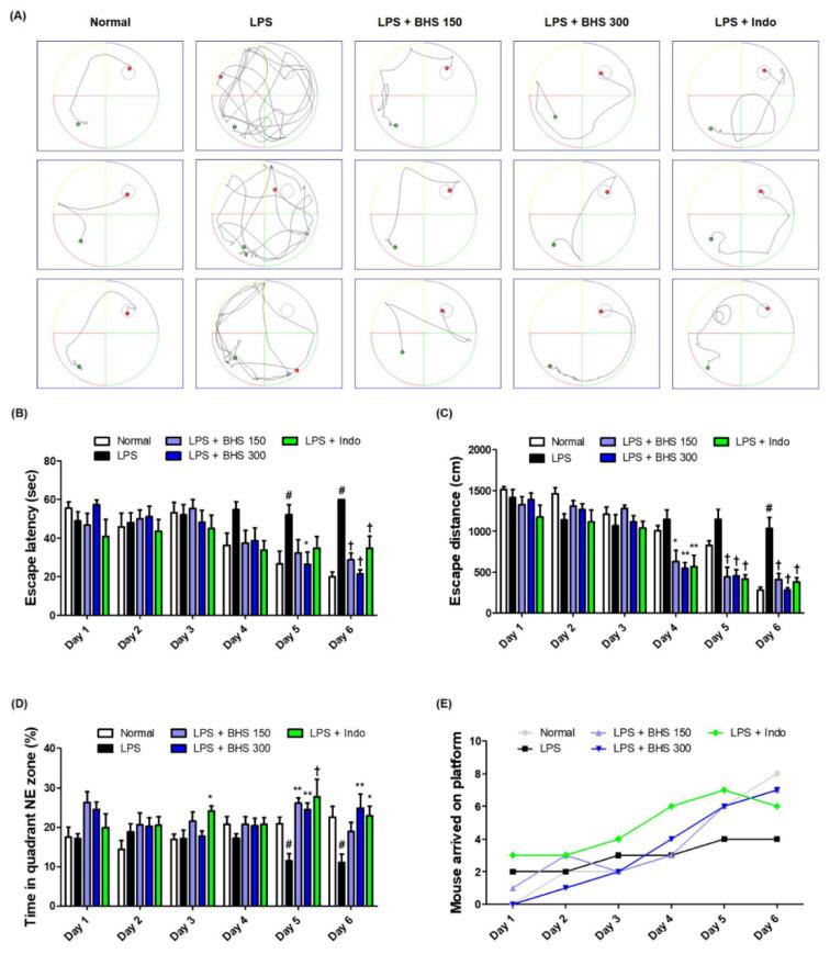 https://cdn.ncbi.nlm.nih.gov/pmc/blobs/c154/7400939/f5b1b33e7cf7/nutrients-12-02019-g002.jpg