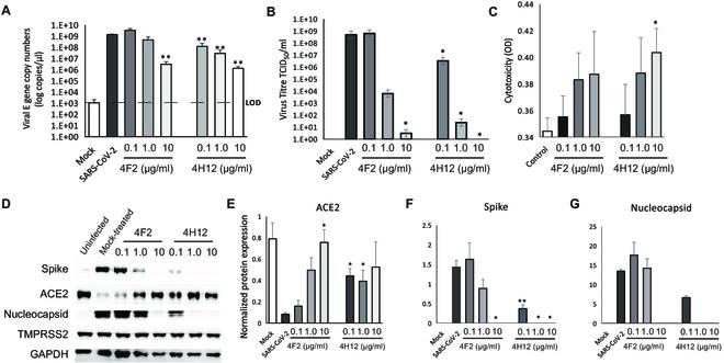 https://cdn.ncbi.nlm.nih.gov/pmc/blobs/c156/10202384/54aab5e3ba0a/research.0124.fig.006.jpg