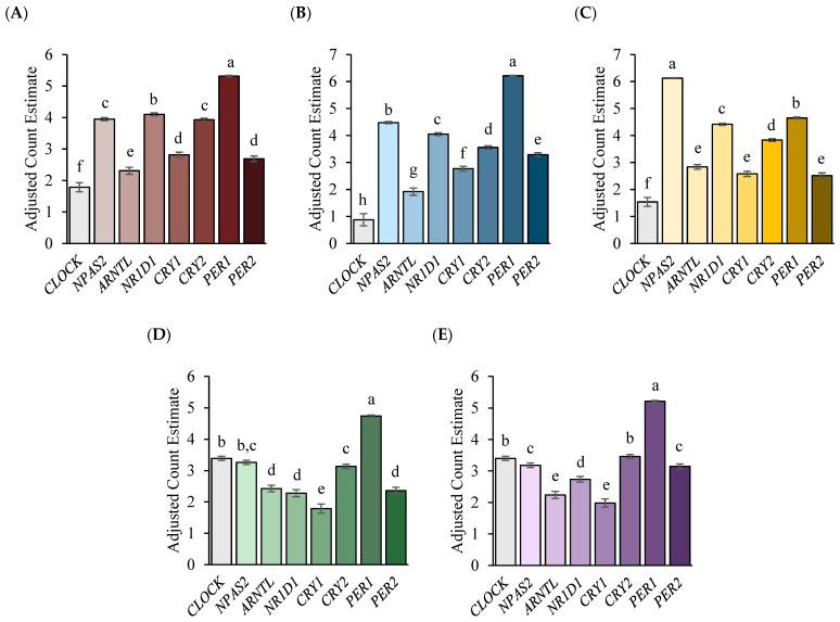 https://cdn.ncbi.nlm.nih.gov/pmc/blobs/c157/10670998/b68d1fc431b5/genes-14-02082-g001.jpg