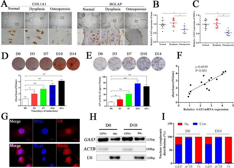 https://cdn.ncbi.nlm.nih.gov/pmc/blobs/c157/7609060/cdb77d68ee06/elife-59079-fig1.jpg