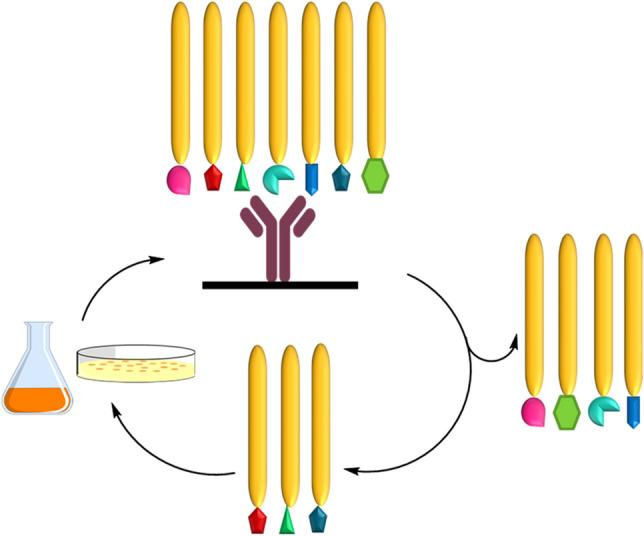 https://cdn.ncbi.nlm.nih.gov/pmc/blobs/c157/8525457/a3d78f06af46/10989_2021_10299_Fig4_HTML.jpg