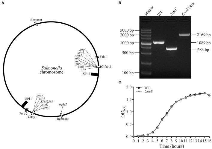 https://cdn.ncbi.nlm.nih.gov/pmc/blobs/c158/9330158/584808b34e14/fvets-09-926505-g0001.jpg