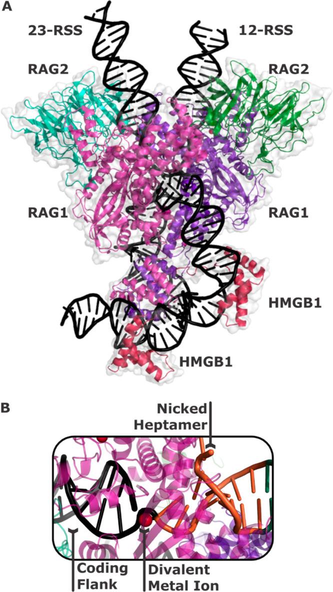 https://cdn.ncbi.nlm.nih.gov/pmc/blobs/c159/10536018/1742ce322278/ao3c05601_0003.jpg