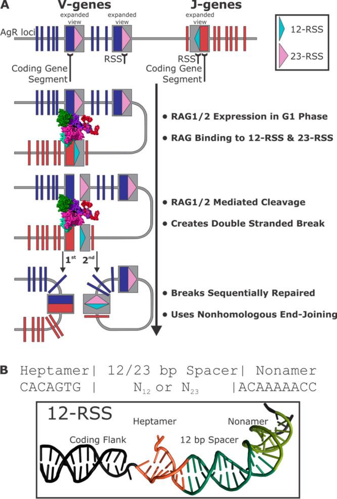 https://cdn.ncbi.nlm.nih.gov/pmc/blobs/c159/10536018/2f7b803ef769/ao3c05601_0001.jpg
