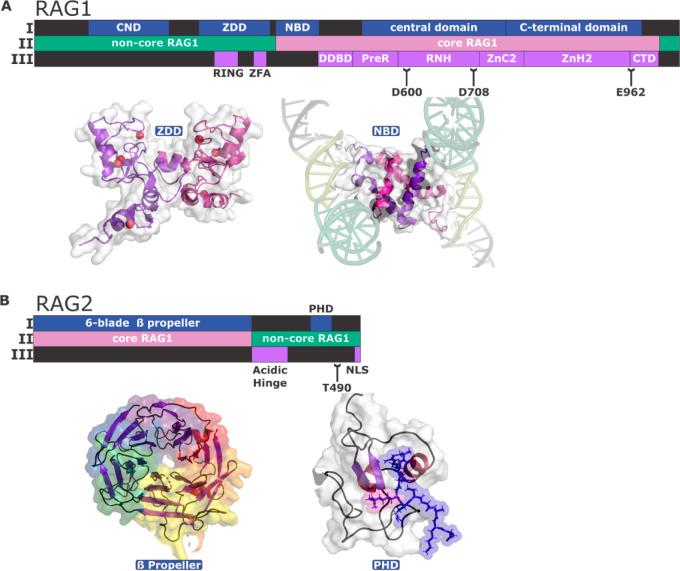 https://cdn.ncbi.nlm.nih.gov/pmc/blobs/c159/10536018/fd34300a4c78/ao3c05601_0002.jpg