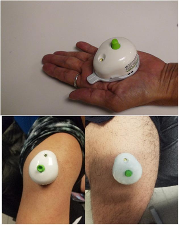 https://cdn.ncbi.nlm.nih.gov/pmc/blobs/c15a/7739664/0aaceb4eeede/fspor-02-00048-g0003.jpg