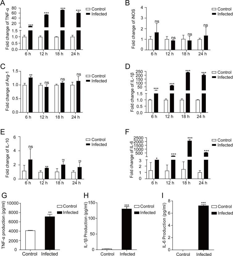 https://cdn.ncbi.nlm.nih.gov/pmc/blobs/c15c/12282902/2b55faad7f1c/pntd.0013289.g001.jpg