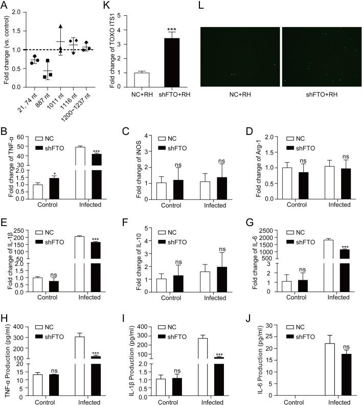 https://cdn.ncbi.nlm.nih.gov/pmc/blobs/c15c/12282902/767fea187811/pntd.0013289.g006.jpg