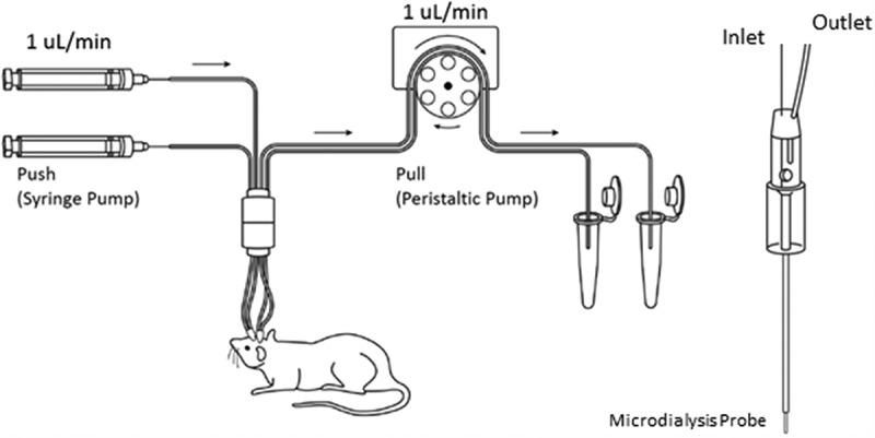 https://cdn.ncbi.nlm.nih.gov/pmc/blobs/c15e/7849817/c3e3e4127332/KMAB_A_1874121_F0005_B.jpg