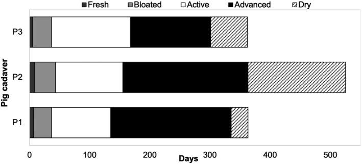 https://cdn.ncbi.nlm.nih.gov/pmc/blobs/c160/9293349/b063123b3077/JFO-67-605-g002.jpg