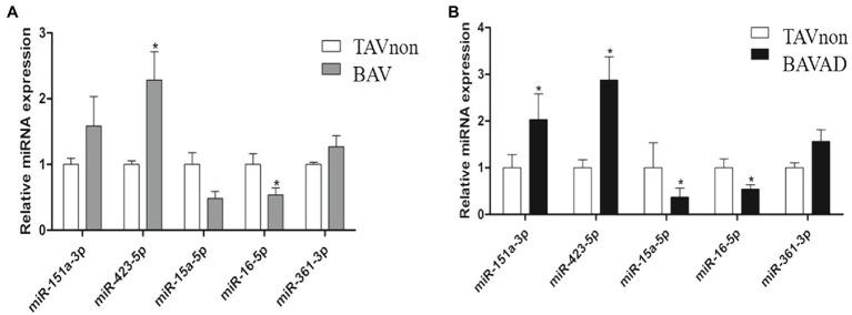 https://cdn.ncbi.nlm.nih.gov/pmc/blobs/c162/8702998/6352a019034c/fphys-12-759035-g002.jpg