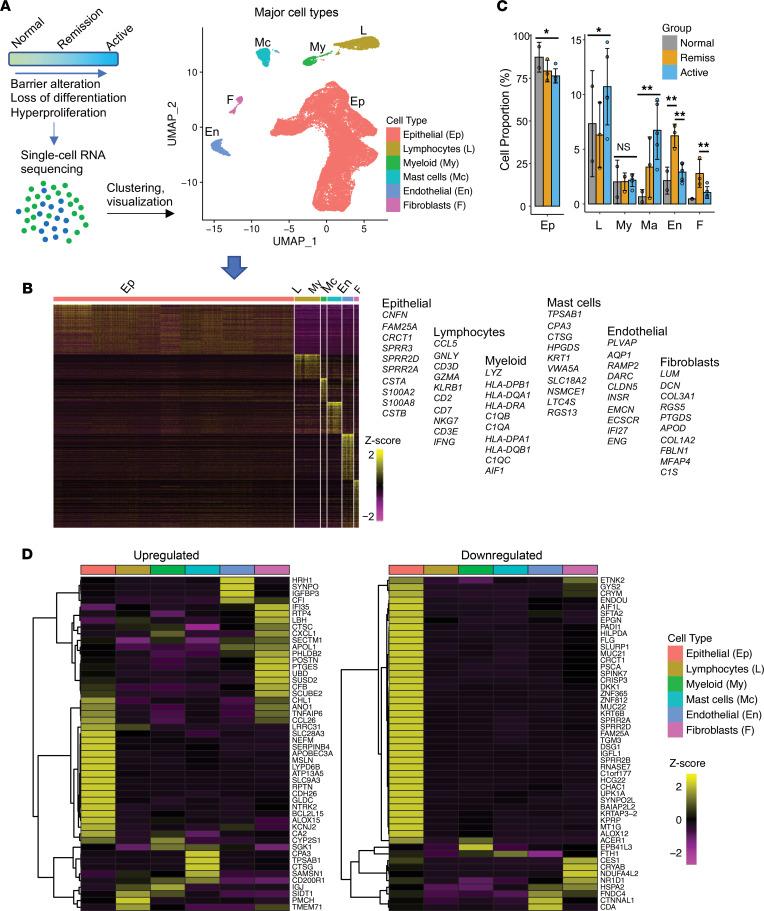 https://cdn.ncbi.nlm.nih.gov/pmc/blobs/c165/9208762/b064003ca874/jciinsight-7-159093-g291.jpg