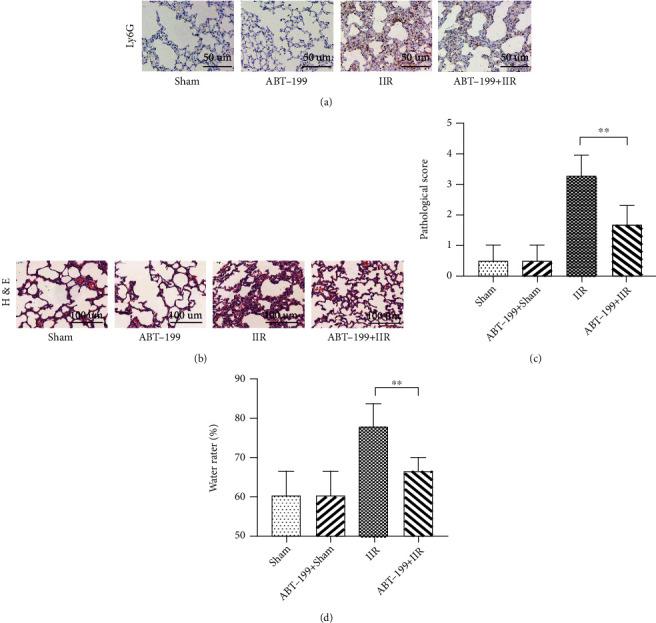 https://cdn.ncbi.nlm.nih.gov/pmc/blobs/c167/8731283/2a610e9edabd/OMCL2021-8302831.006.jpg