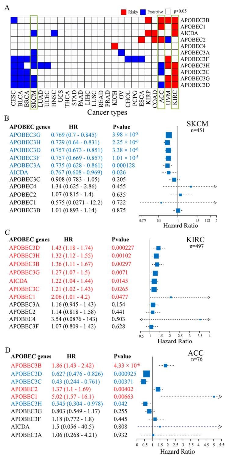 https://cdn.ncbi.nlm.nih.gov/pmc/blobs/c168/9221198/a56c8eba5401/cancers-14-02827-g002.jpg