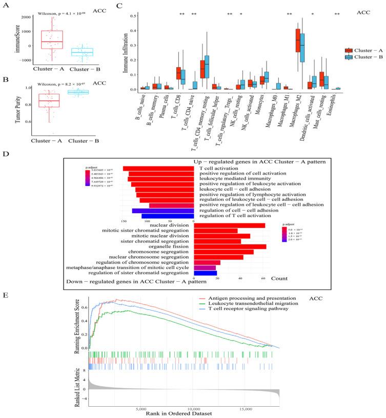 https://cdn.ncbi.nlm.nih.gov/pmc/blobs/c168/9221198/e2597888100a/cancers-14-02827-g004.jpg