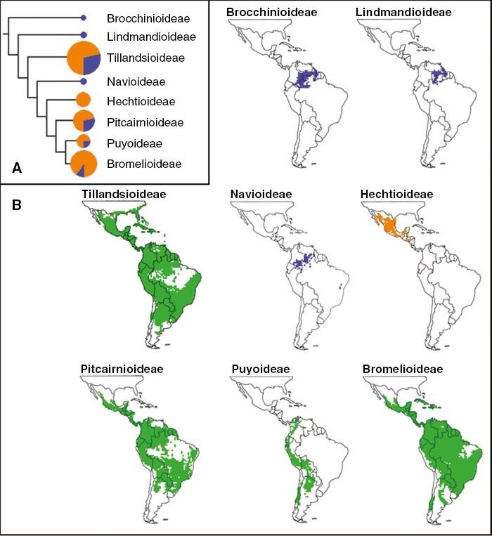 https://cdn.ncbi.nlm.nih.gov/pmc/blobs/c16f/10800000/4cadf5a9fbb6/mcad067_fig4.jpg