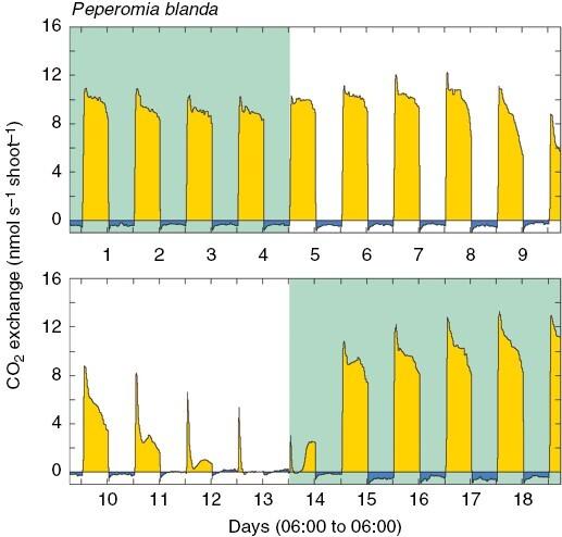 https://cdn.ncbi.nlm.nih.gov/pmc/blobs/c16f/10800000/b03dcfccf952/mcad067_fig2.jpg
