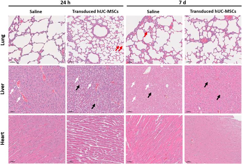 https://cdn.ncbi.nlm.nih.gov/pmc/blobs/c16f/10834363/5003eec918f8/gr7.jpg