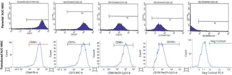 https://cdn.ncbi.nlm.nih.gov/pmc/blobs/c16f/10834363/cd90240d8fa1/gr3.jpg
