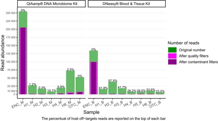 https://cdn.ncbi.nlm.nih.gov/pmc/blobs/c16f/11839906/c09b805aec26/FEBS-292-796-g005.jpg