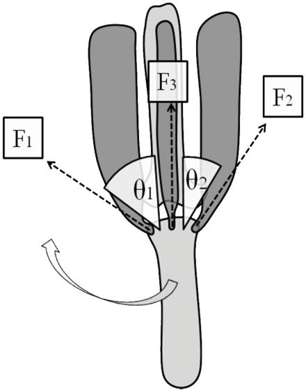 https://cdn.ncbi.nlm.nih.gov/pmc/blobs/c170/3281952/ebc28d84d72e/pone.0031187.g006.jpg