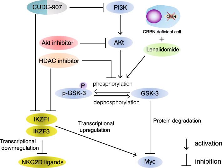 https://cdn.ncbi.nlm.nih.gov/pmc/blobs/c170/7989023/50352dd119f6/13046_2021_1909_Fig9_HTML.jpg