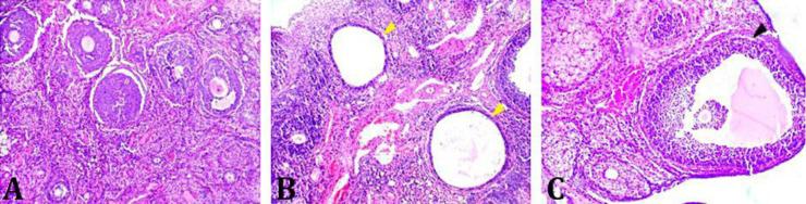 https://cdn.ncbi.nlm.nih.gov/pmc/blobs/c170/9840803/25c4e094463b/vrf-13-513-g002.jpg